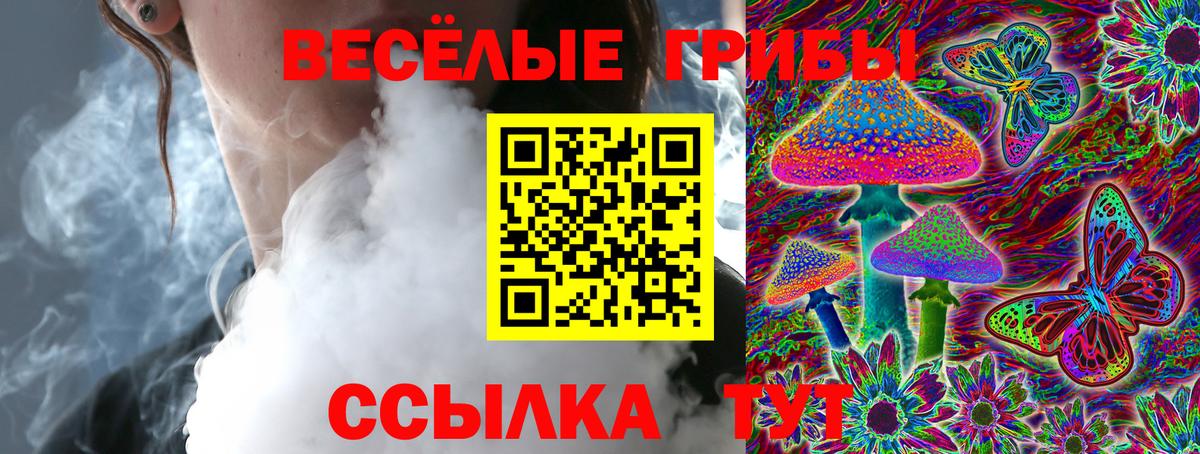 Псилоцибиновые грибы Cubensis  Вход с VPN  Кохма 