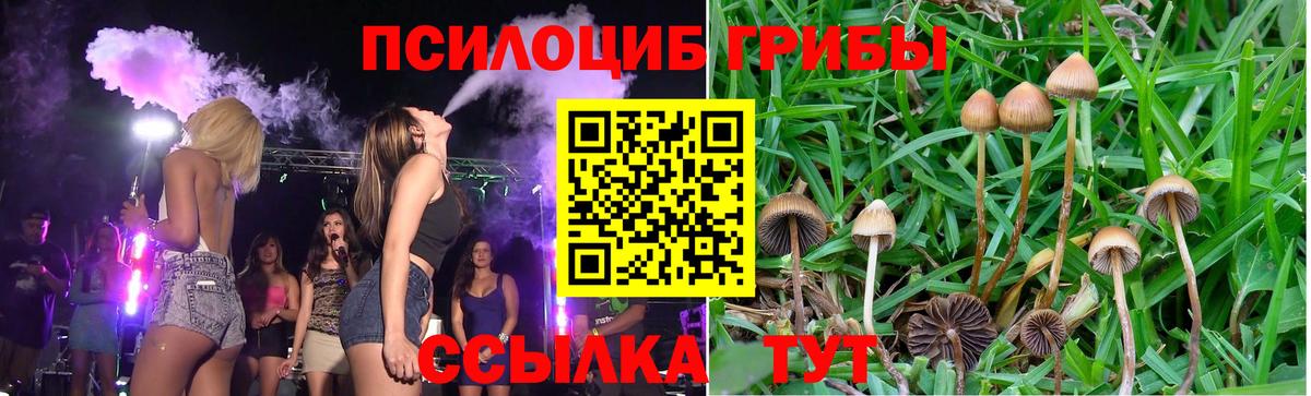 Галлюциногенные грибы GOLDEN TEACHER Кохма